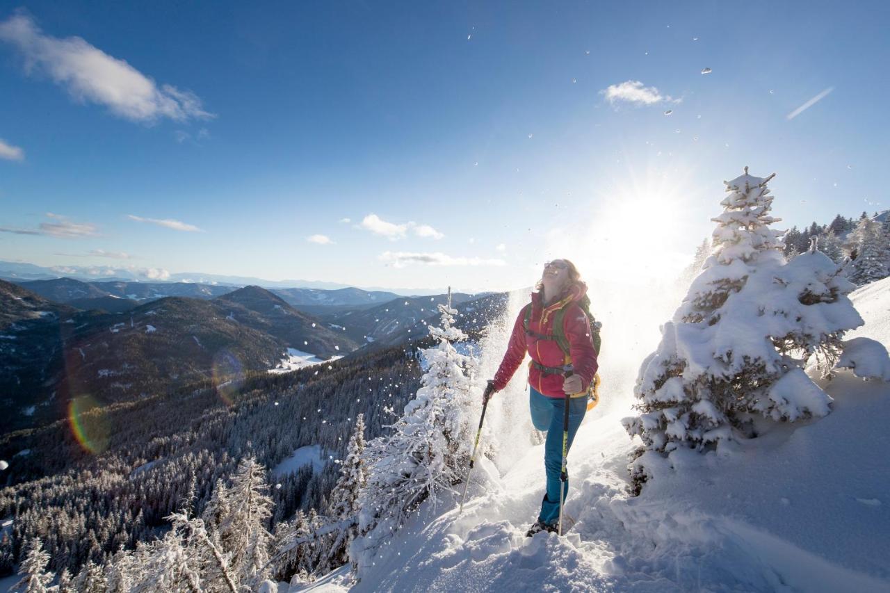 Urlaub Am Bauernhof Gaenser Sankt Peter am Kammersberg Buitenkant foto